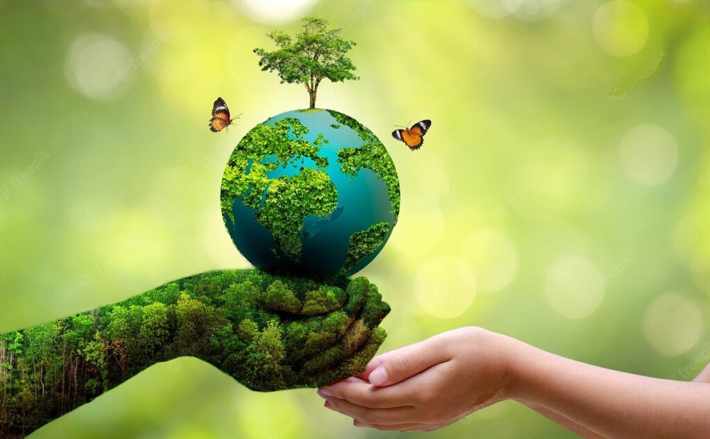 पर्यावरण संरक्षण: हमारा दायित्व